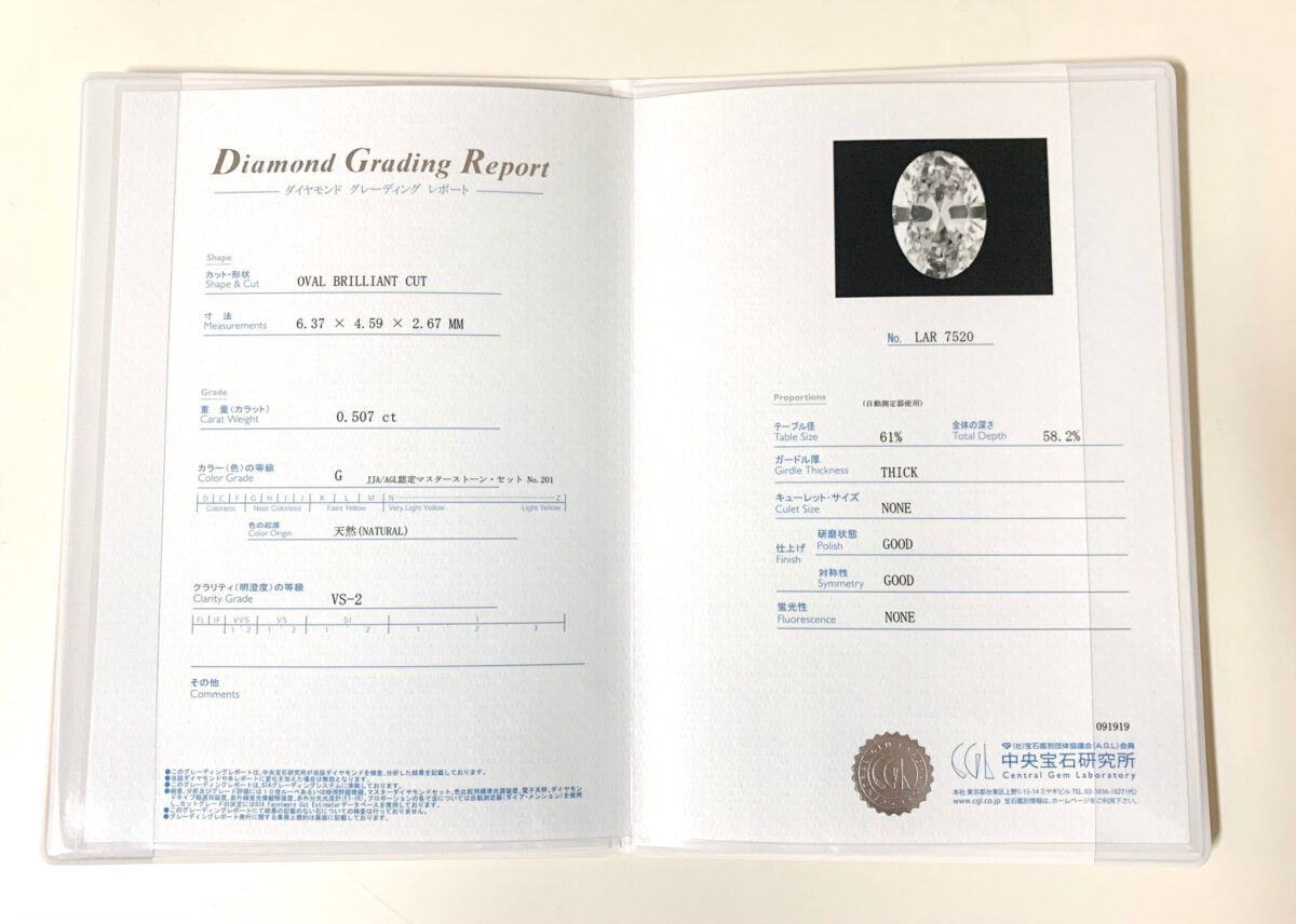 Dear Little Creatures: りんご ピアス ダイヤモンド0.507ct(片耳用)