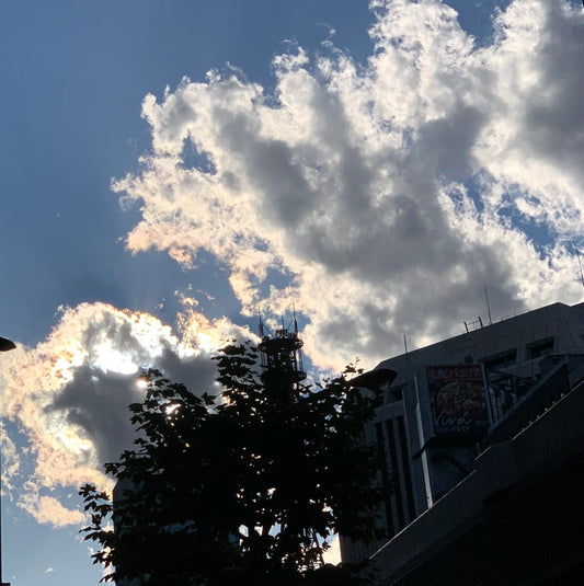 #80 クリスマス商戦