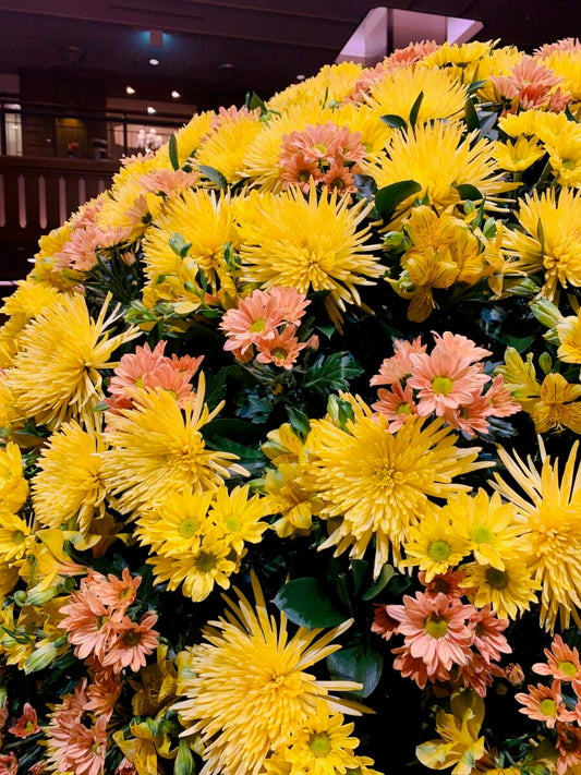 #70 帝国ホテル日記 2