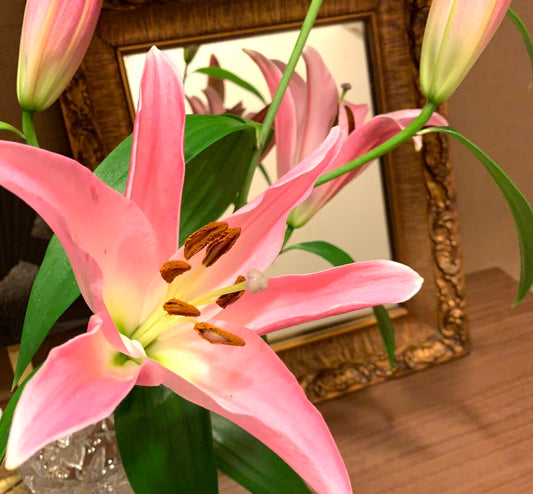 ＃81　ちいさな目標。