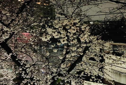 ＃93違う地球（大雨暴風警報）