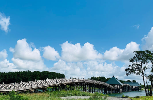 ＃154　ダイヤモンドの顔立ち