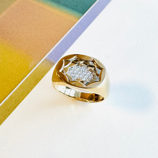 Secret Garden: Gold &Platinum Ring